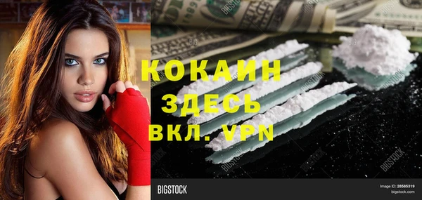 apvp Няндома