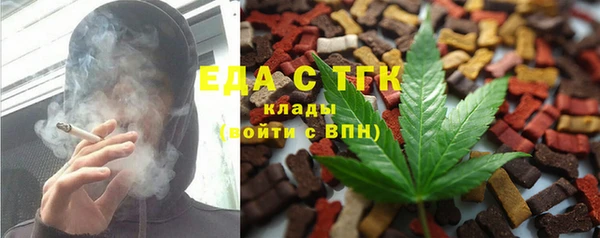 индика Новодвинск