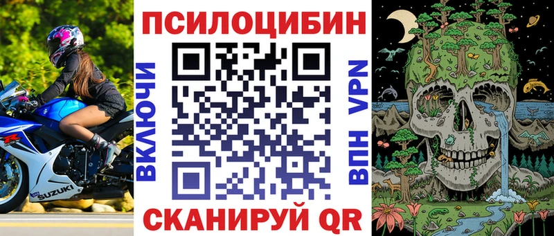 Купить  Кинешма  Галлюциногенные грибы Psilocybe 