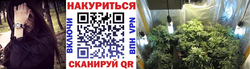 Купить закладки  Кинешма  Бошки марихуана MAZAR 